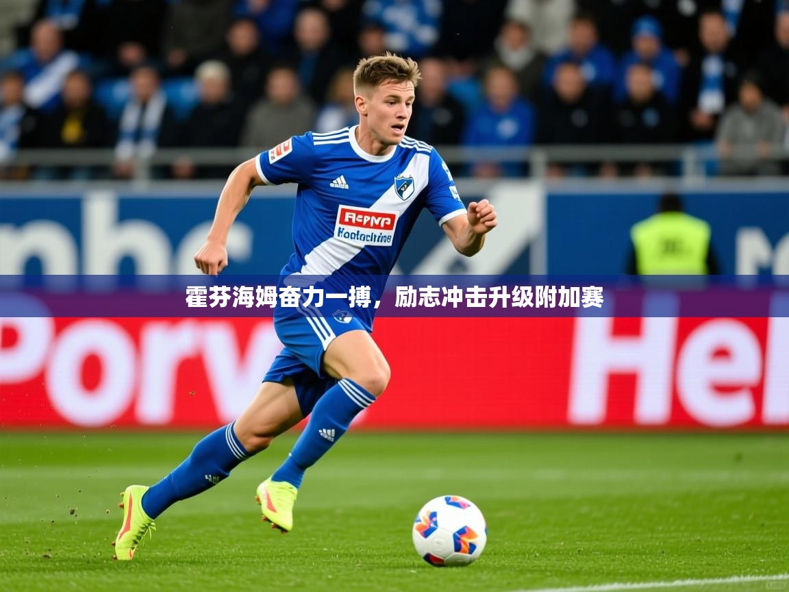 2025米兰体育官方有实力霍芬海姆奋力一搏，励志冲击升级附加赛