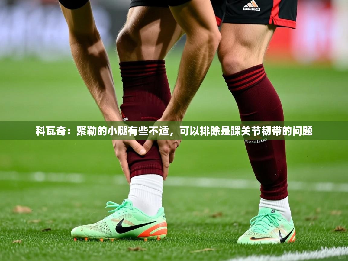 2025米兰体育官网科瓦奇:聚勒的小腿有些不适,可以排除是踝关节韧带的问题