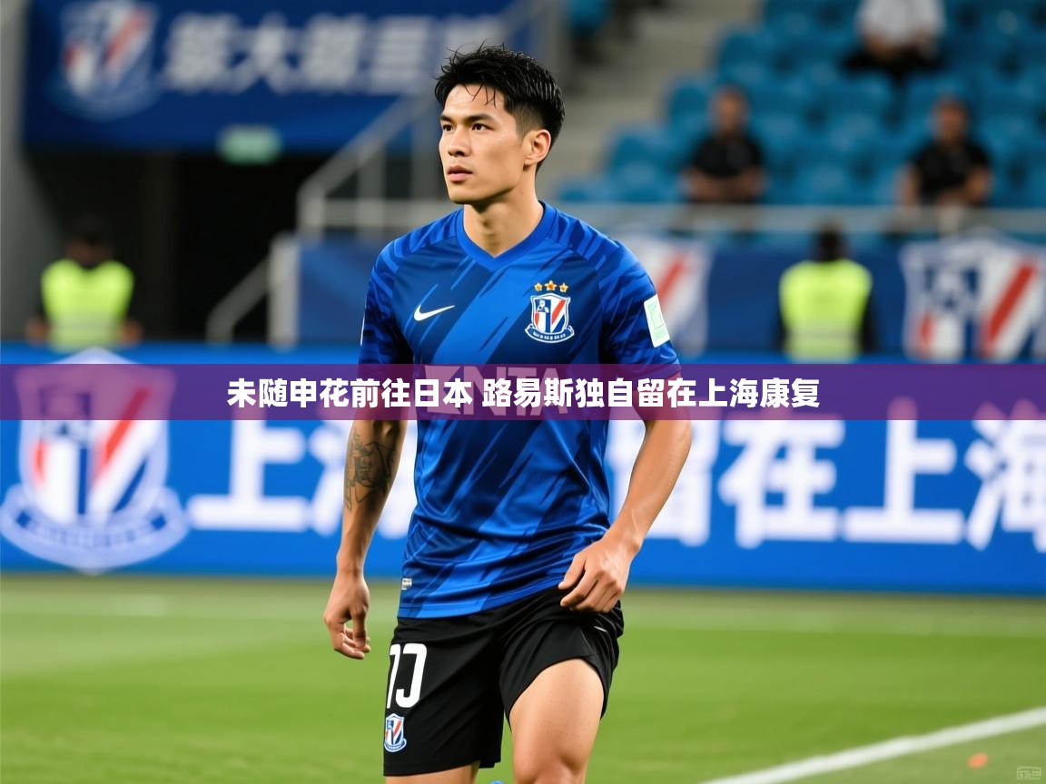 2025米兰体育app未随申花前往日本 路易斯独自留在上海康复 第2张