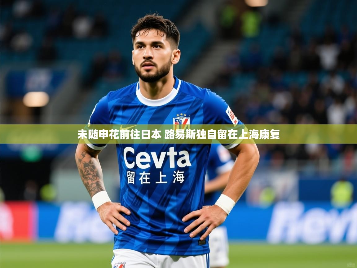 2025米兰体育app未随申花前往日本 路易斯独自留在上海康复 第4张