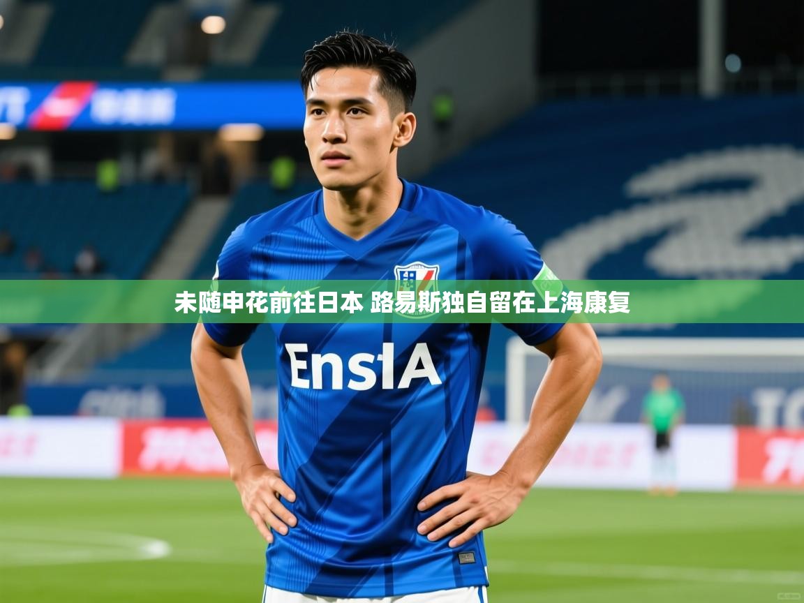 2025米兰体育app未随申花前往日本 路易斯独自留在上海康复 第3张